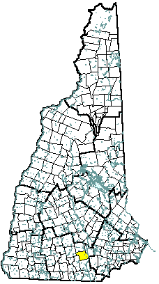 Bedford New Hampshire Community Profile