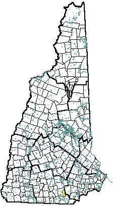 Litchfield New Hampshire Community Profile