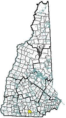 Milford New Hampshire Community Profile