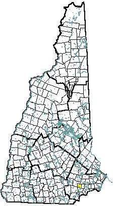 Sandown New Hampshire Community Profile